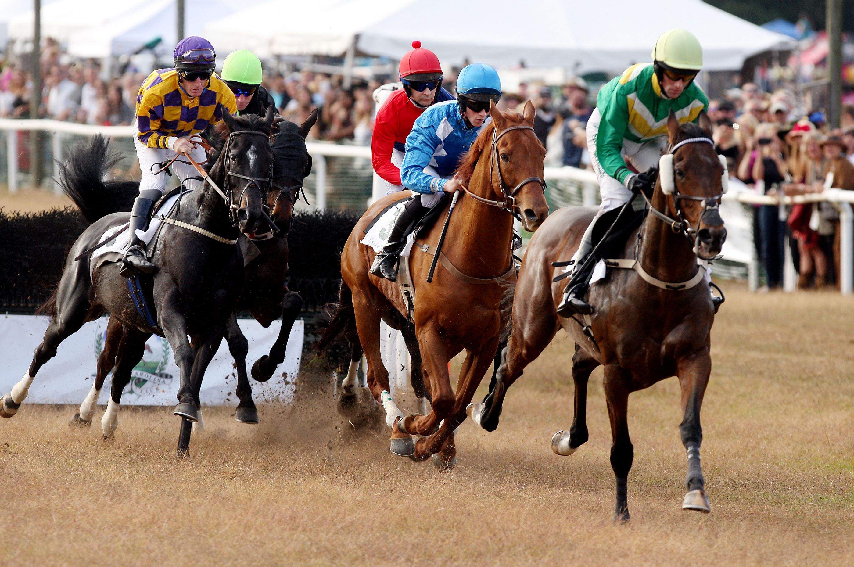 Charleston Steeplechase Cup